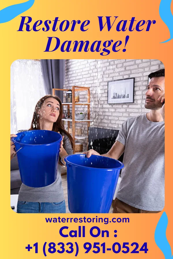 water restoration Eagle Damage Restoration Services Bayonet Point