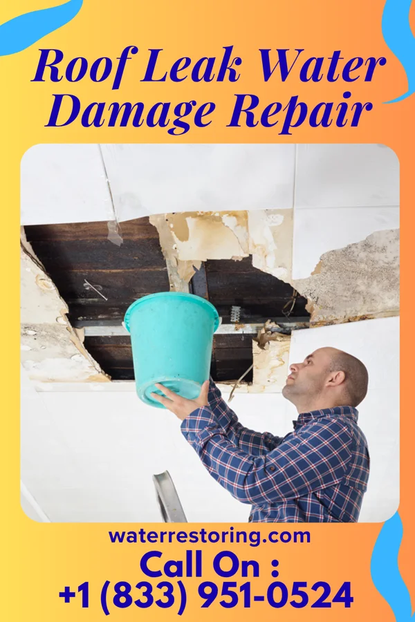 Roof Leak Water Damage Repair in Bayonet Point, FL